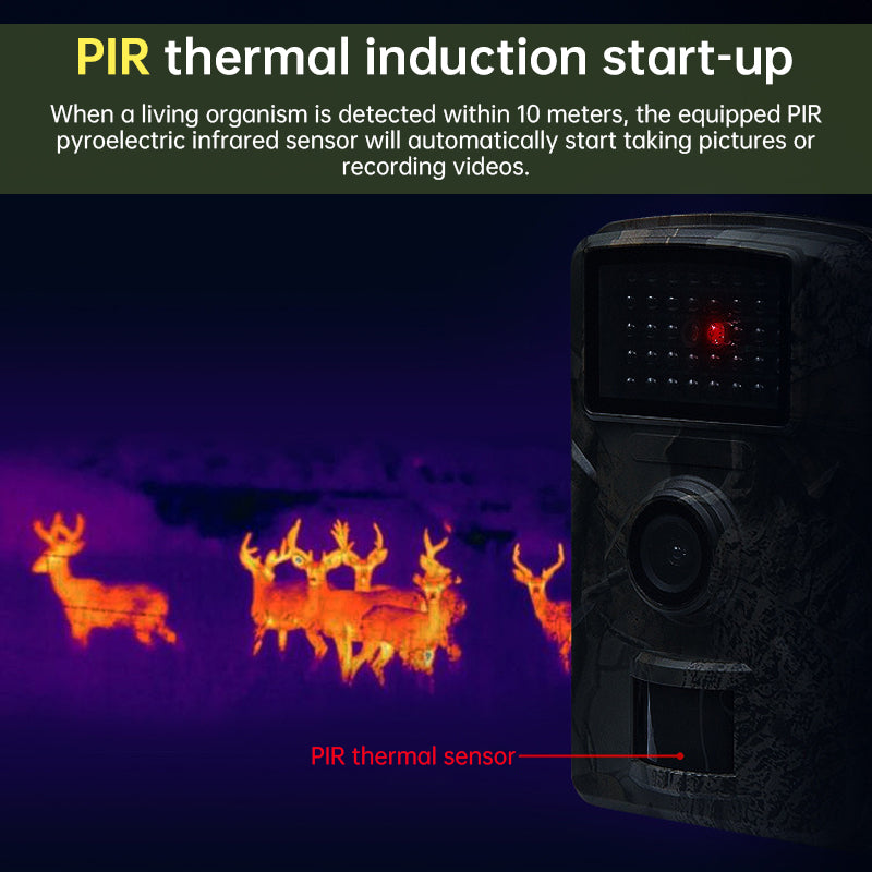 Outdoor 4G SIM Solar Trail Camera – Night Vision & Motion Detection